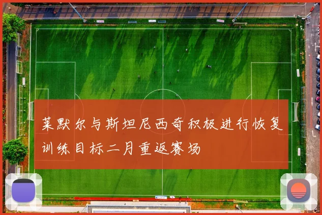 莱默尔与斯坦尼西奇积极进行恢复训练目标二月重返赛场