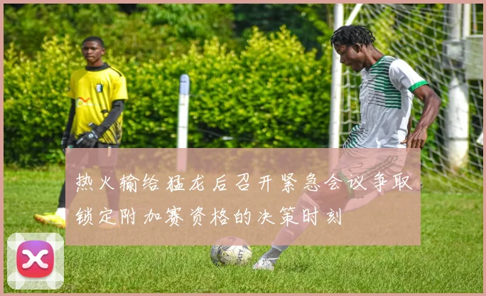 热火输给猛龙后召开紧急会议争取锁定附加赛资格的决策时刻